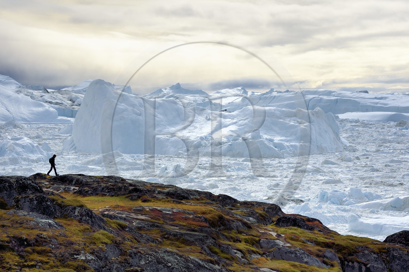 Groenland, cote ouest, baie de Disko, Ilulissat, randonneur en bordure du fjord glacé classé Patrimoine Mondial de l'UNESCO qui est l’embouchure maritime du glacier Sermeq Kujalleq (Jakobshavn Glacier)