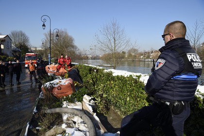 France, Val-de-Marne (94), les bords de Marne, Le Perreux-sur-Marne, une vache de type Highland Cow sauvée de la noyade dans la Marne par les pompiers