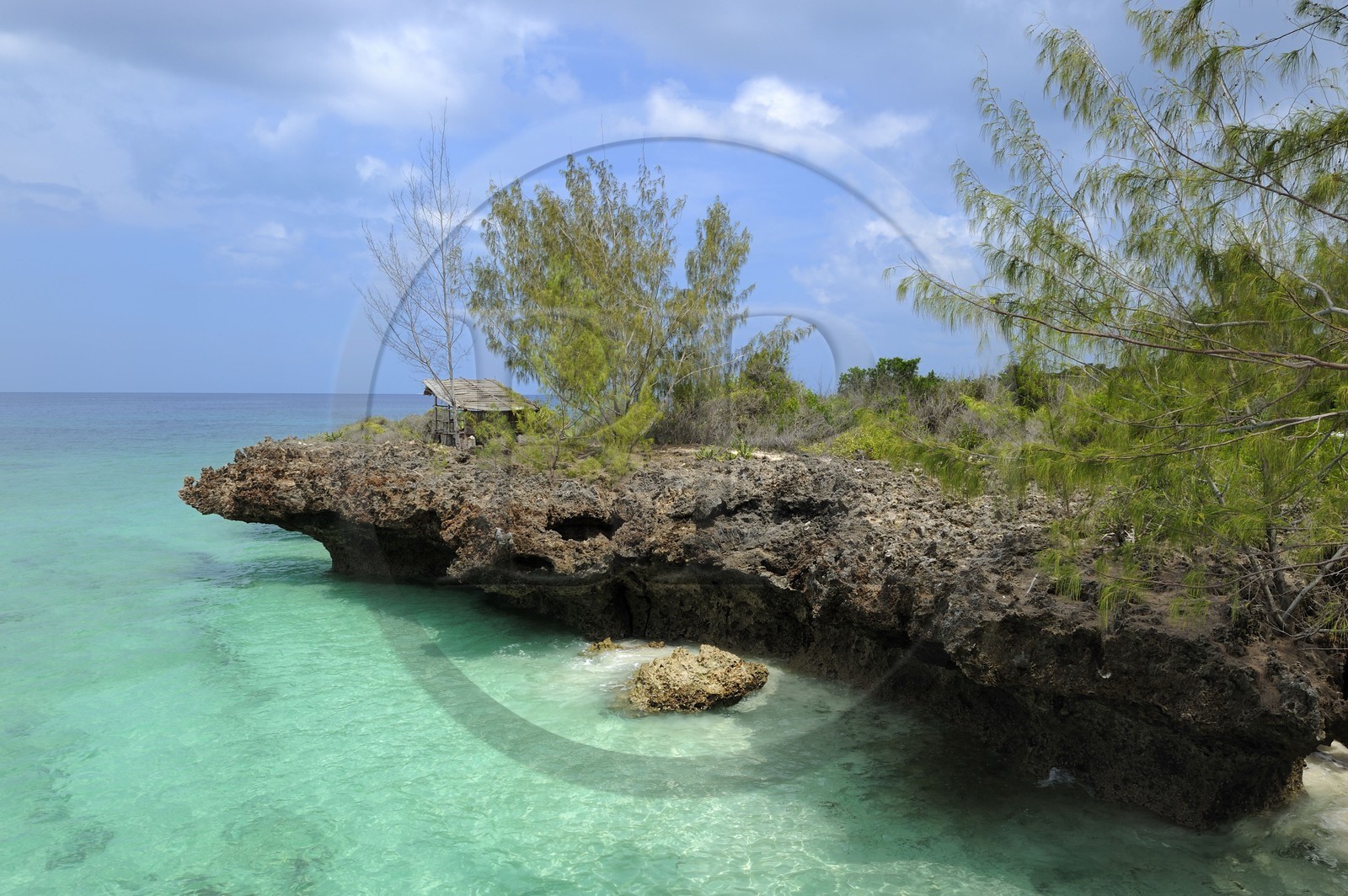 Tanzanie, archipel de Zanzibar, île de Unguja (Zanzibar), côte ouest, plage de la réserve naturelle de Chumbe Island Coral Park à marée haute
