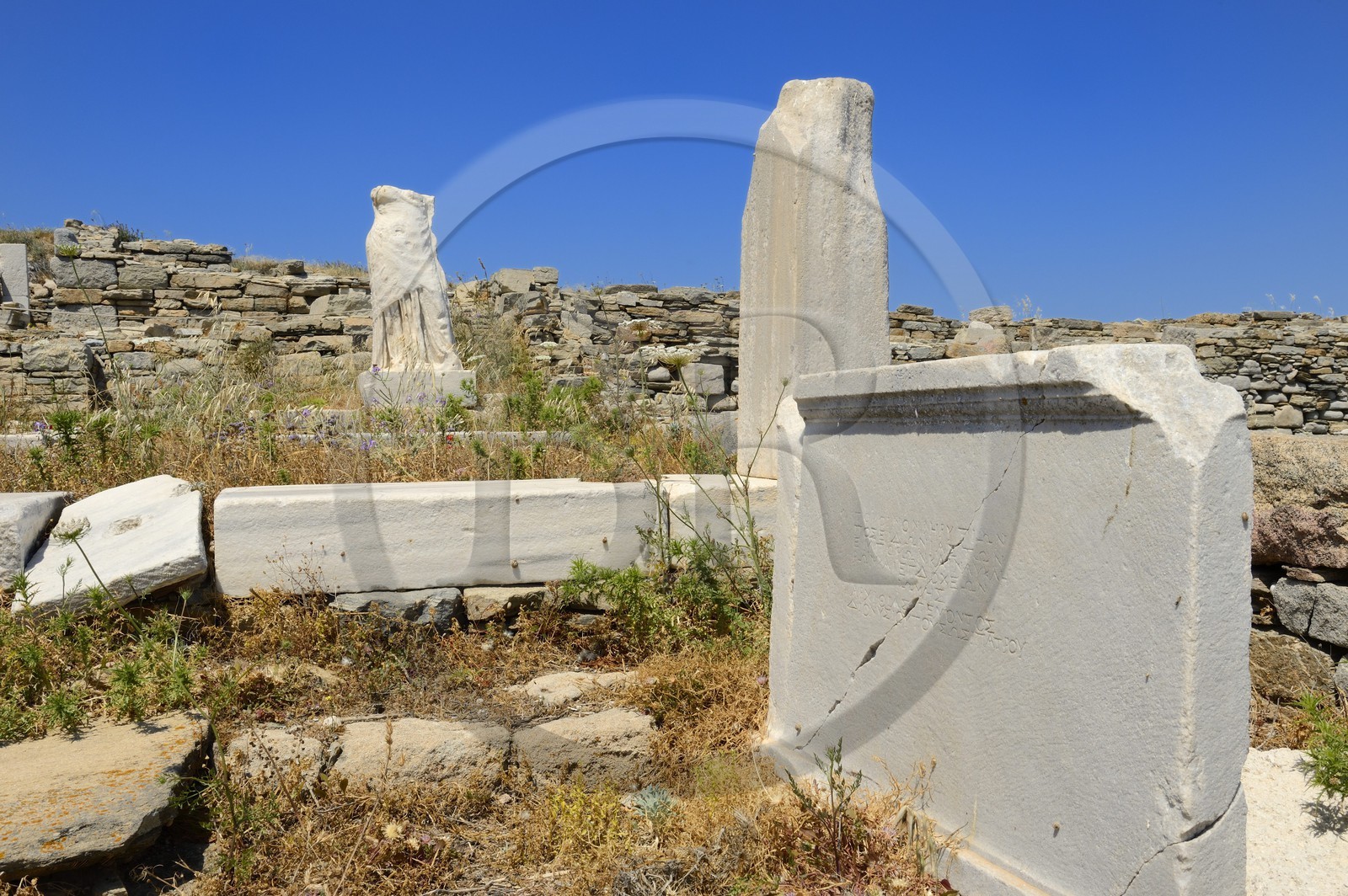 Grèce, île de Delos, classée Patrimoine Mondial de l'UNESCO, site archéologique de Délos, sanctuaire d'Apollon, la plus grande cité antique de la mer Egée, l'établissement des Poséidoniastes de Beyrouth