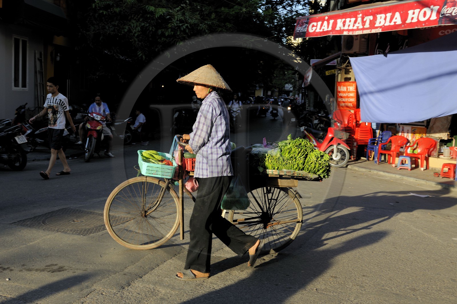 Vietnam, Hanoï, vieille ville, marchande de quatre saisons à vélo
