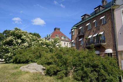 Sweden, Stockholm, Ostermalm district, Hotel Ett Hem