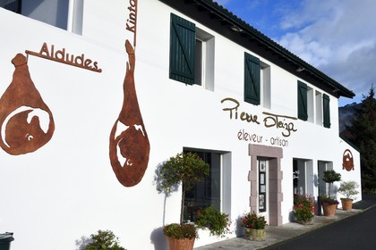 France, Pyrénées-Atlantiques (64), Pays-Basque, vallée des Aldudes, élevage Pierre Oteiza de porcs basques de race pie noir et vente de jambon