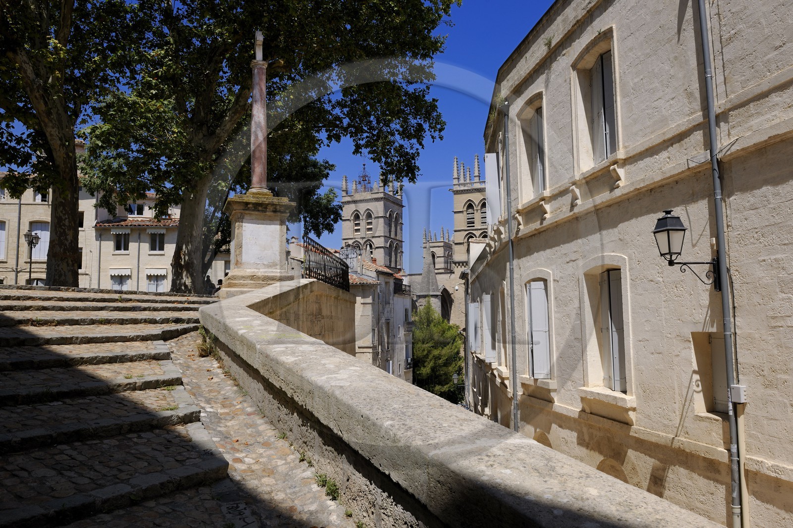 France, Hérault (34), Montpellier, centre historique, l'Ecusson, la place du Canourgue et la cathédrale Saint Pierre à l'arrière