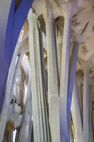 Espagne, Catalogne, Barcelone, quartier de l'Eixample, basilique de la Sagrada Familia de l'architecte du modernisme catalan Antoni Gaudi classée Patrimoine Mondial de l'UNESCO, au dessus du noeud, les colonnes du vaisseau central (nef) se subdivisent en branches tel un arbre
