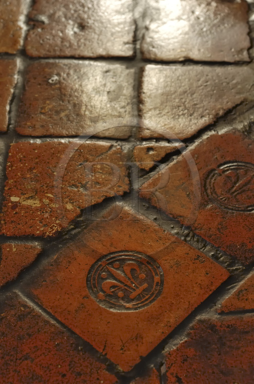 France, Indre et Loire, Chateau de Chenonceau of Renaissance style built between 1513 and 1522, marking a floor tile with the royal fleur de lis