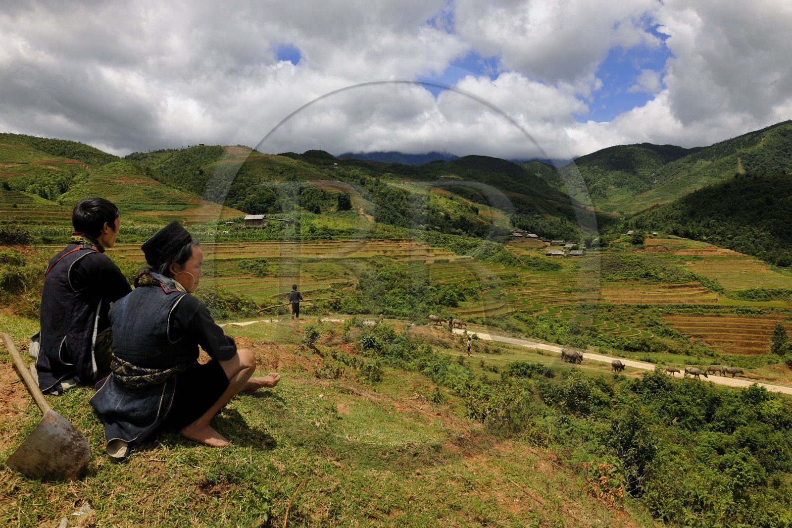 Vietnam, province de Lao Cai, région de Sapa, vallée de Ta Phin, la minorité Hmong Noir