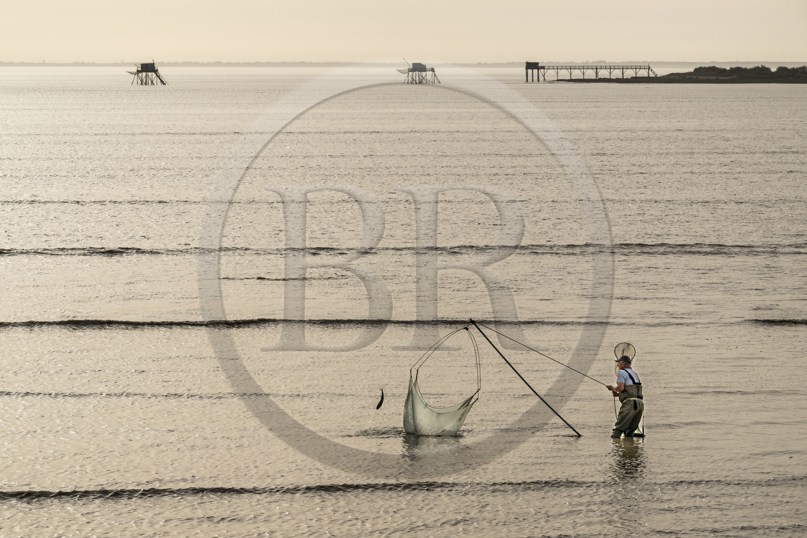 France, Charente Maritime, Port-des-Barques, hand net fisherman trying to catch a mullet (fish) and huts on stilts called carrelets in the background