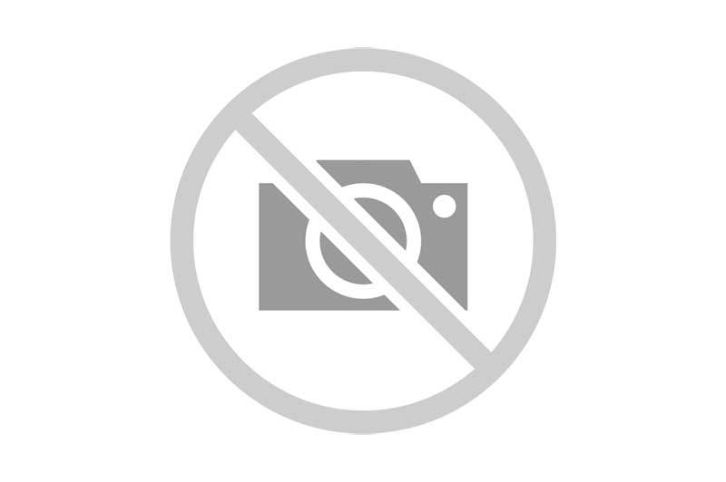 France, Paris, Musée Maillol art museum, Markus-Maillol exhibition by German artist Markus Lüpertz in dialogue with the work of Aristide Maillol