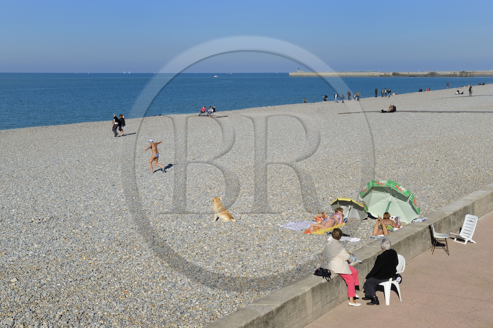 France, Seine-Maritime (76), Dieppe, la plage de galets