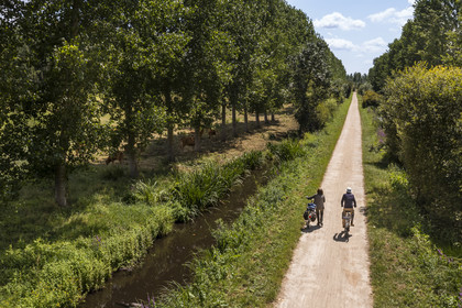 France, Deux-Sèvres (79), le Marais Poitevin, la Venise Verte, Sansais, randonnée à bicyclette le long de la Sèvre Niortaise sur la voie cyclable de la Vélo Francette (vue aérienne)