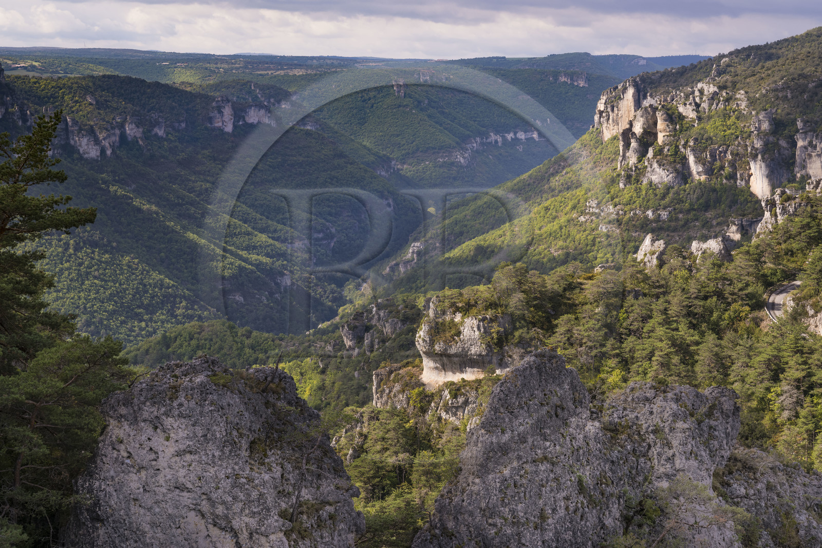 France, Aveyron (12), Causses et les Cévennes, paysage culturel de l'agro-pastoralisme méditerranéen, classés Patrimoine Mondial de l'UNESCO, Causse Noir, La Roque-Sainte-Marguerite, chaos de Montpellier-le-Vieux, la Cité de Pierres