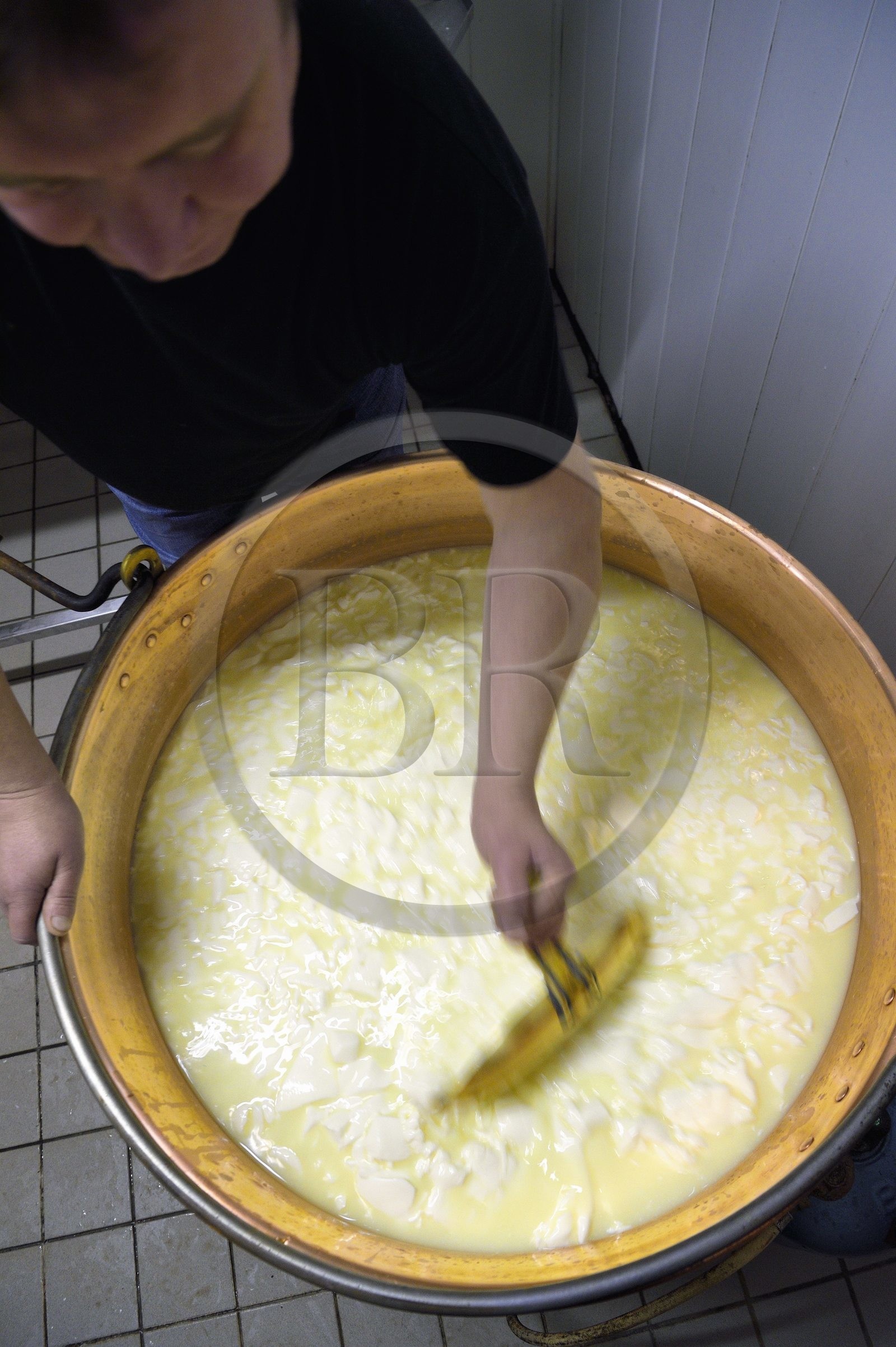 France, Haut-Rhin (68), Wasserbourg, Ferme-auberge Buchwald, le marcaire Michel Wehrey à la fabrication du fromage de munster AOP (lait de vache), découpe à l'écumoire du caillé pour faire monter le petit lait et descendre le fromage dans le chaudron en cuivre