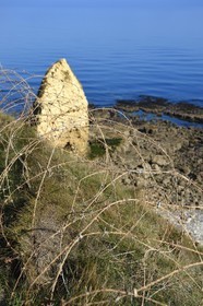 France, Calvados, Cricqueville en Bessin, Pointe du Hoc, barbed wire from a blockhouse
