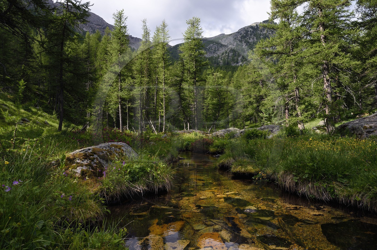 France, Alpes-Maritimes (06), parc national du Mercantour, vallon de la Minière en contrebas de la Vallée des Merveilles