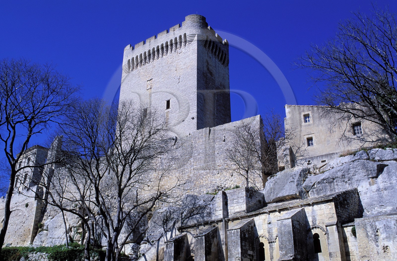 France, Bouches du Rhone, Alpilles Massif, Montmajour Abbey near Arles
