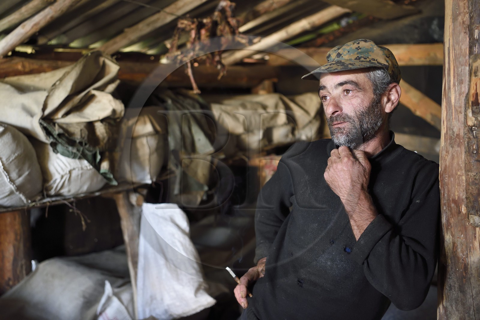 Géorgie, Kakheti, Parc national de Touchétie, bergerie vers le village de Bochorna, le berger Mikourdzé y fabrique son fromage de manière traditionelle et artisanale