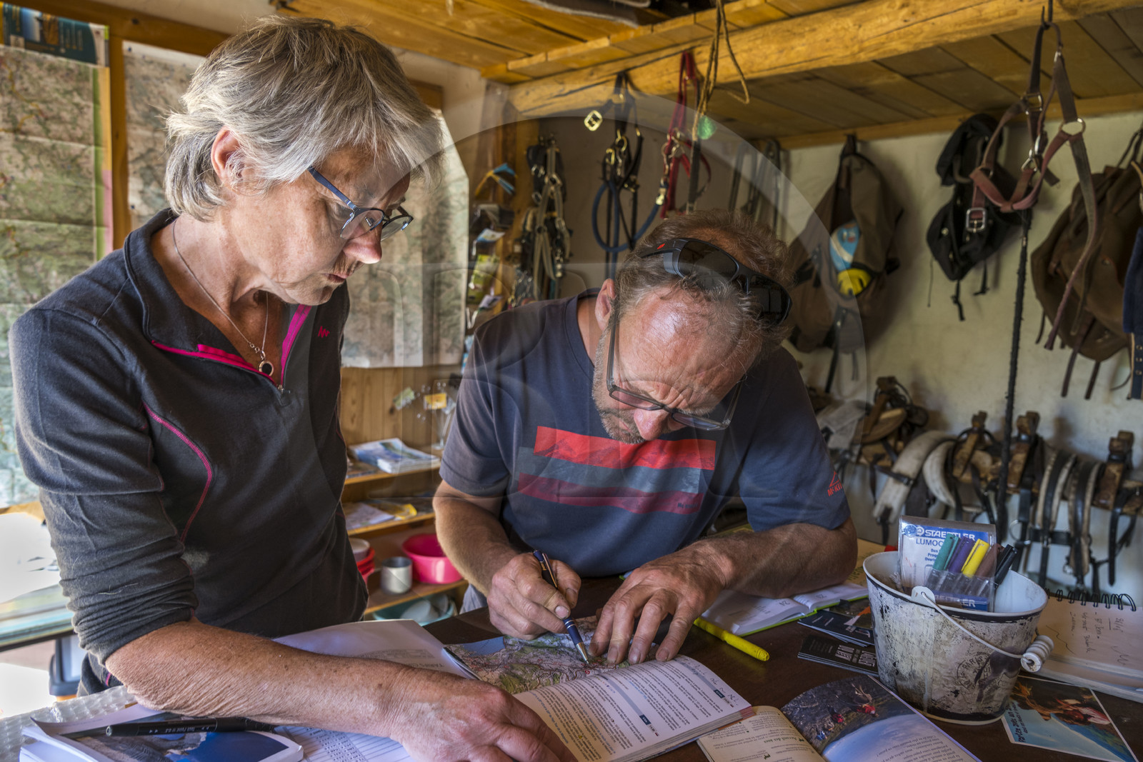 France, Haute-Loire (43), Le Monastier-sur-Gazeille, randonnée avec un âne sur le chemin de Stevenson (GR 70), reconnaissance du parcours chez Christophe Galland de chez Ane Azimut
