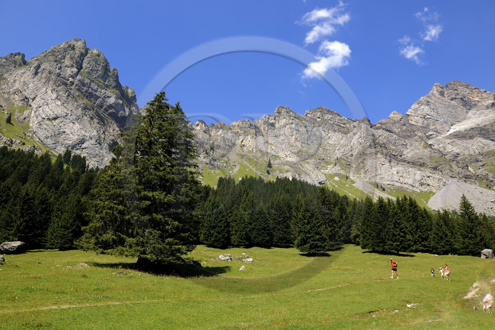 Switzerland, canton of Vaud, Villars-sur-Ollon, Solalex valley in the Muverans natural park