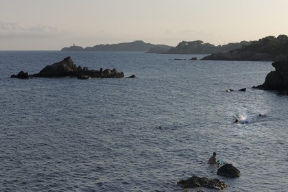 France, Var (83), presqu'île de Giens, la côte vers la Tour Fondue, plongée en apnée