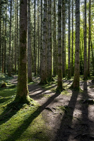 France, Nièvre (58), Parc naturel régional du Morvan, Gouloux, site du Saut de Gouloux et la rivière du Caillot