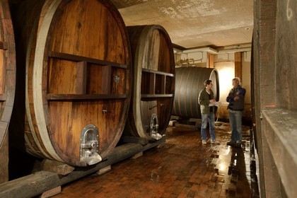 France, Bas-Rhin (67), Route des Vins d'Alsace, Traenheim, Domaine viticole Frederic Moshel, le producteur Guillaume Moshel devant ses foudres