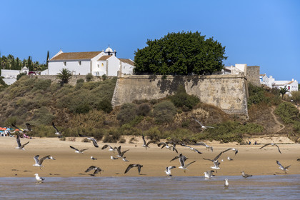 Portugal, Algarve, Parc Naturel de la Ria Formosa, Tavira, forteresse du village de Cacela Velha