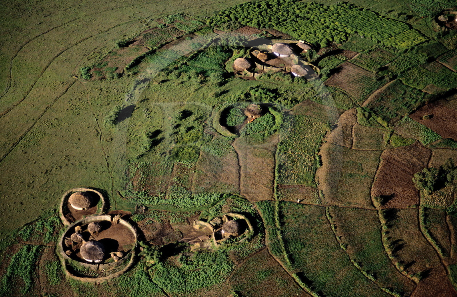Burundi, traditional housing rugo scattered on a hill of the region of Mugongomanga (aerial view)