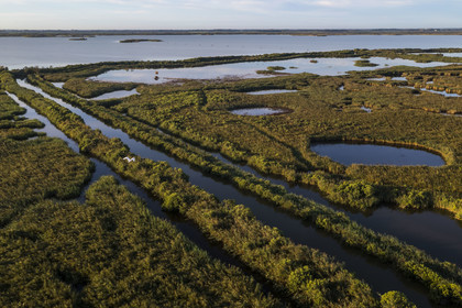 France, Gard, the marshes of the Petite Camargue at Gallician next to Vauvert (aerial view)