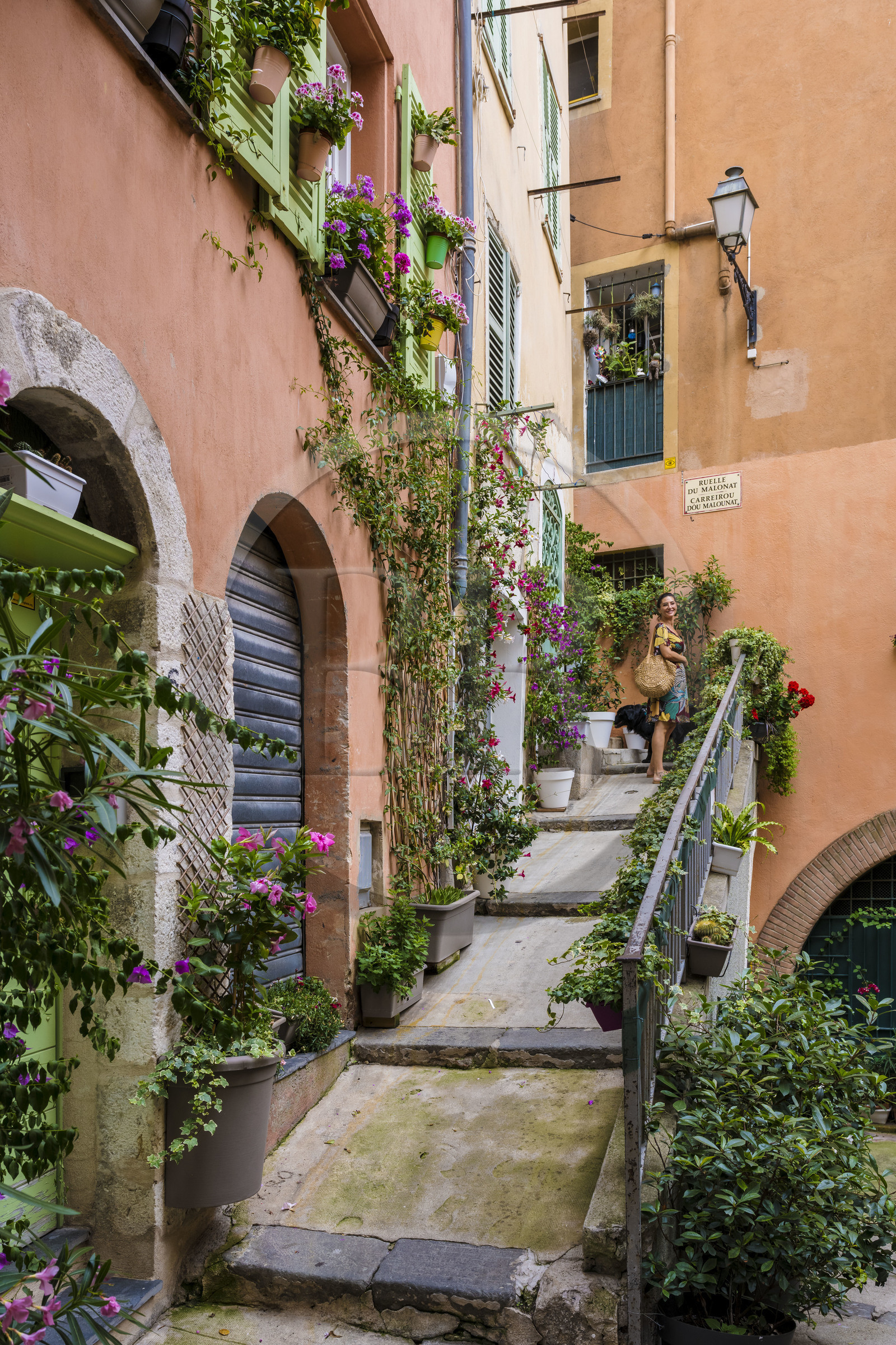 France, Alpes-Maritimes, Nice, listed as World Heritage by UNESCO, Old Nice, Virginie Acchiardo, chef of the restaurant Chez Acchiardo, walks her dog in ruelle du Malonat