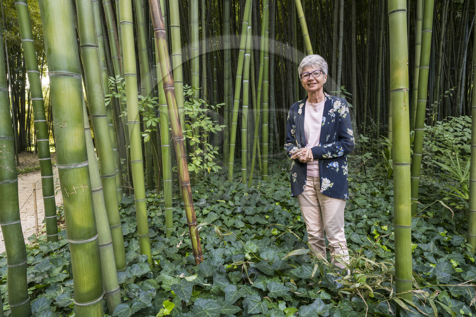 France, Gard, Generargues towards Anduze, Bambouseraie en Cévennes (Bamboo garden), President and Director Muriel Nègre