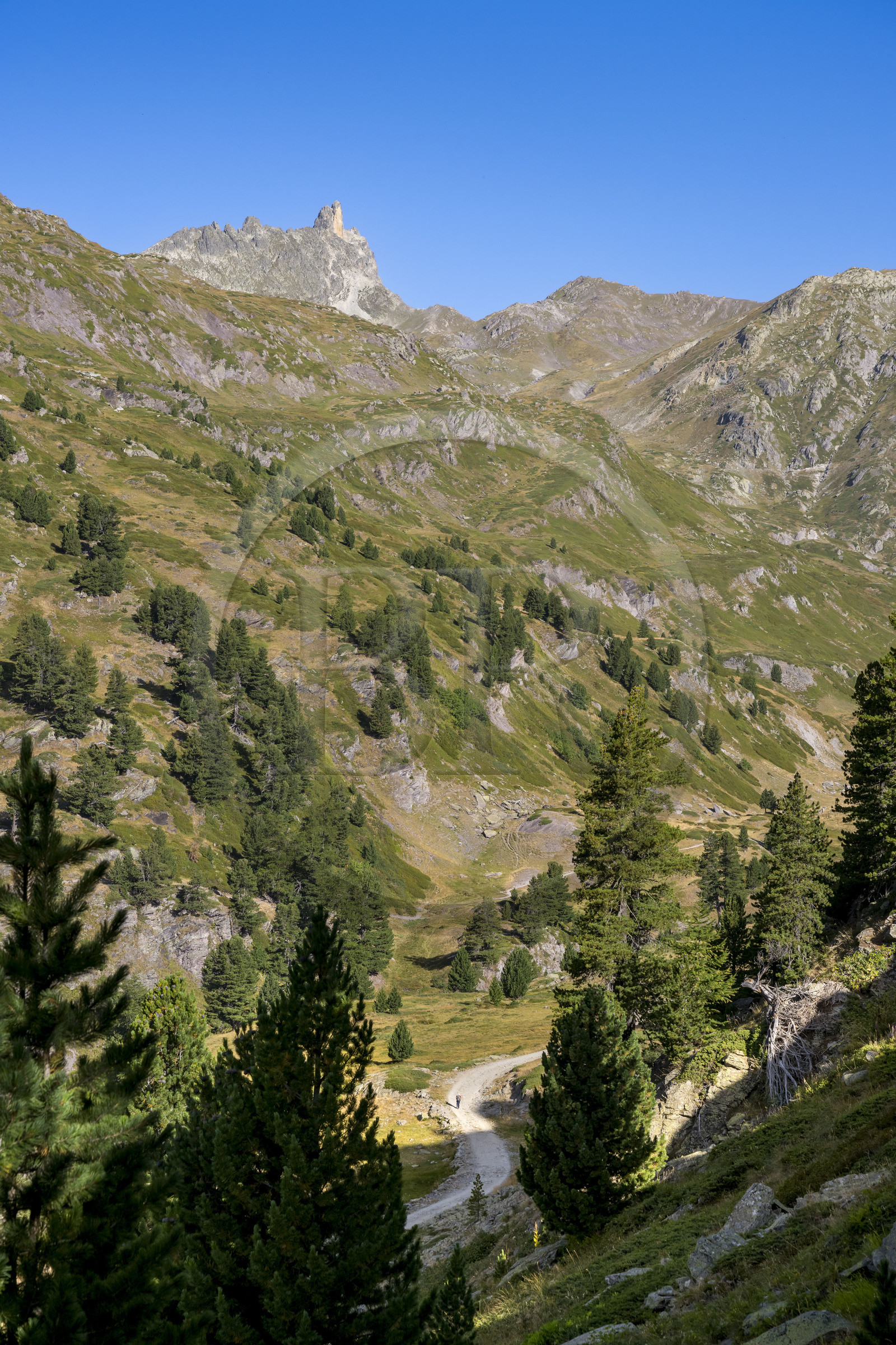 France, Hautes Alpes (05), le Briançonnais, Névache, randonneurs dans la vallée de la Clarée, le massif des Cerces en arrière-plan