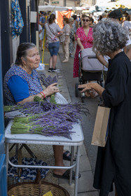 France, Bouches-du-Rhône (13), Parc Naturel Régional des Alpilles, Saint-Rémy-de-Provence, vendeuse de bouquets de lavande sur le marché place Jules Pellissier