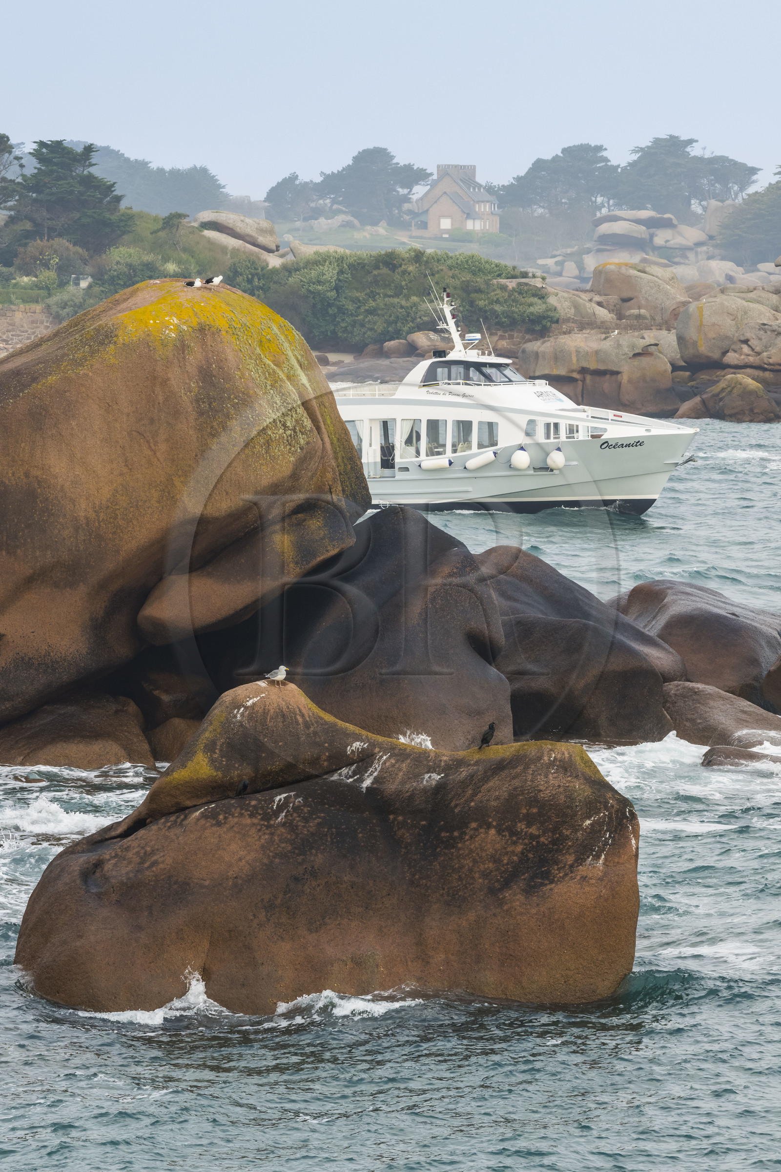 France, Côtes-d'Armor (22), Côte de Granit Rose, Perros-Guirec, bateau de liaison avec l'archipel de Sept-Iles dans le chenal de sortie du port naturel de Ploumanac'h