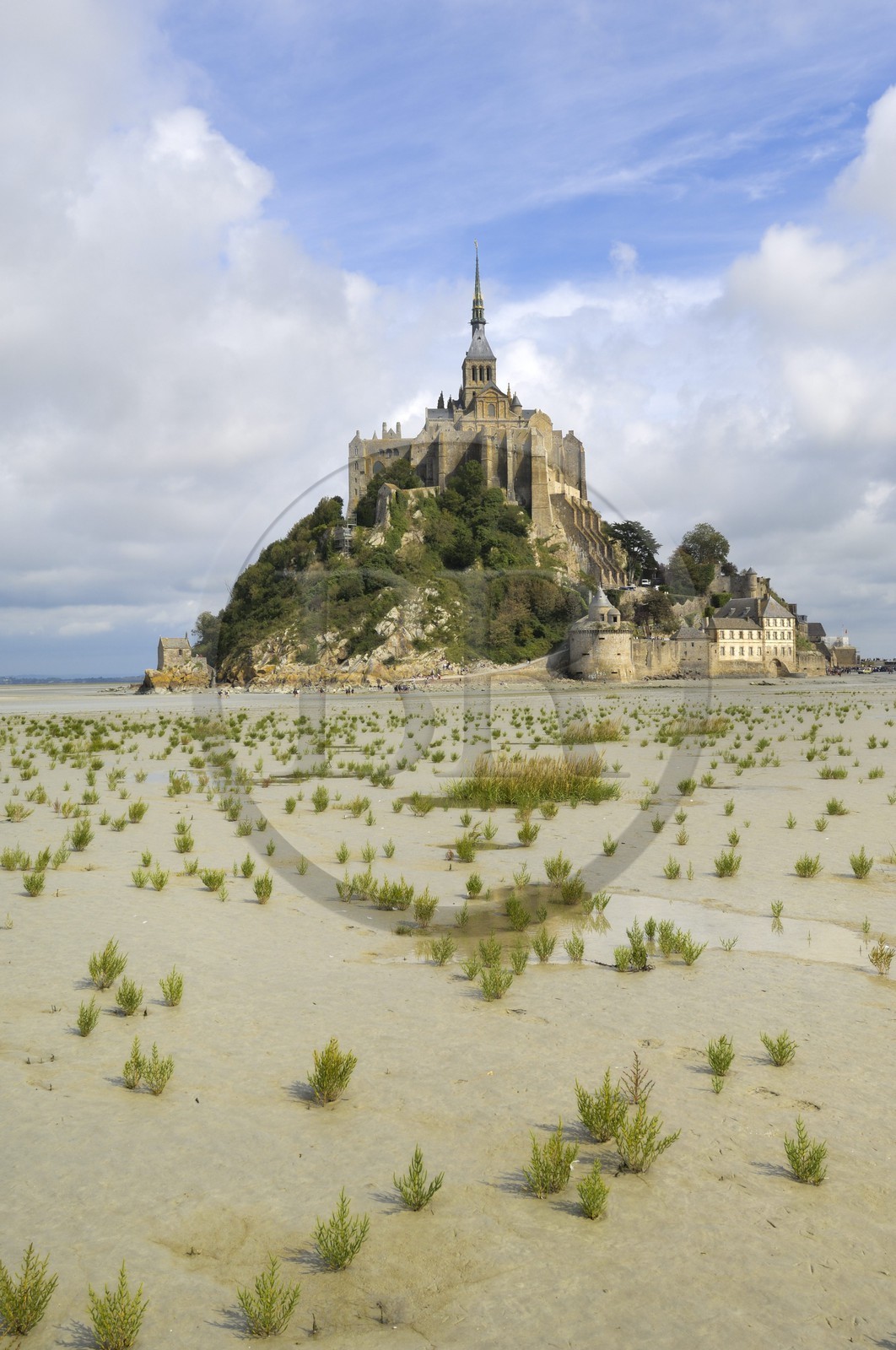 France, Manche (50), Baie du Mont-Saint-Michel, classée Patrimoine Mondial de l'UNESCO, le Mont-Saint-Michel