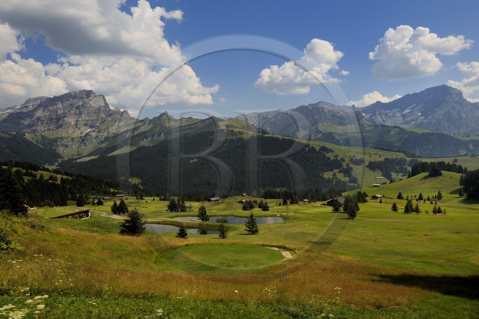 Switzerland, Canton of Vaud, Villars sur Ollon golf