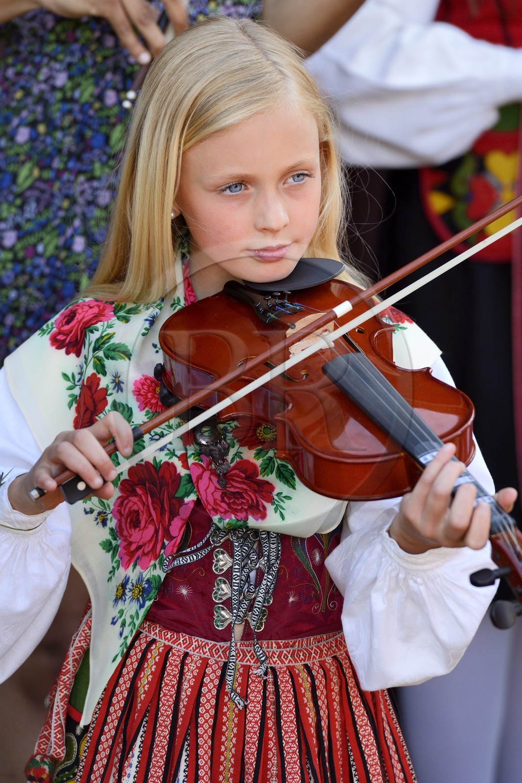 Suède, comté de Dalécarlie, région de Leksand, célébrations du solstice d'été dans le petit hameau de Hjulbäck, jeune fille en costume traditionnel jouant du violon