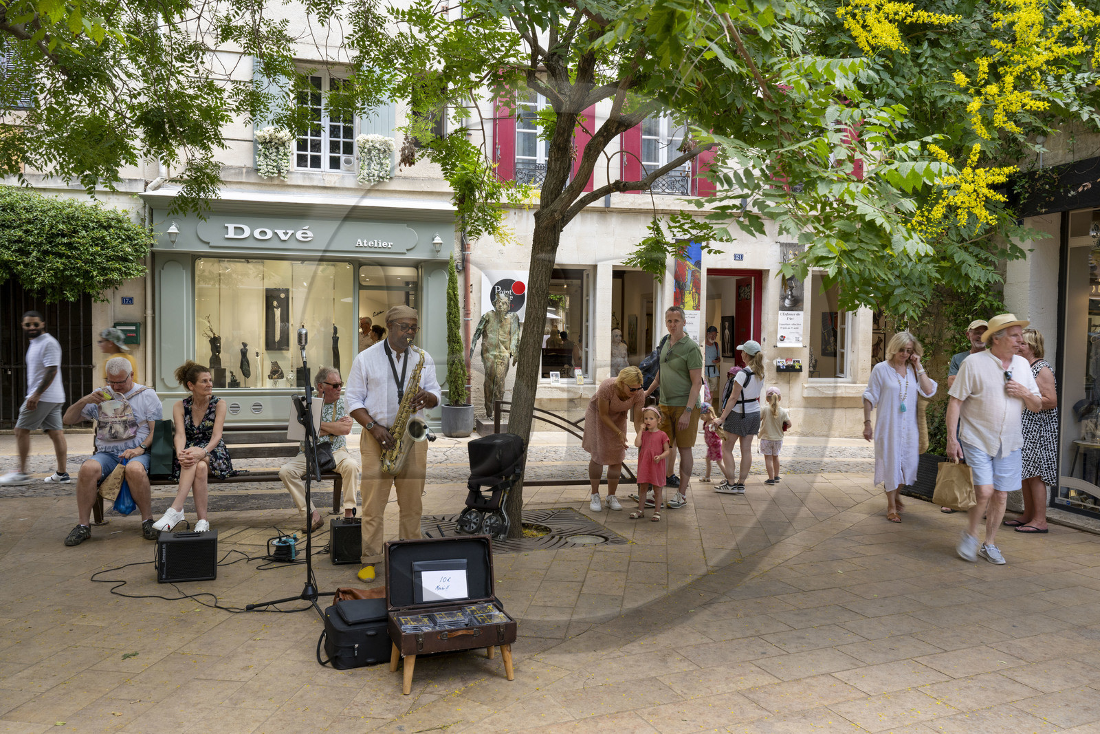 France, Bouches du Rhone, Regional Natural Park of the Alpilles, Saint Remy de Provence, street musician on the small square rue Carnot