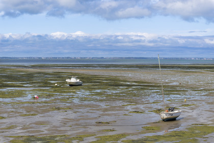 France, Vendee, Noirmoutier island, Barbatre, the sea at low tide in front of the dyke between the Port de Bonhomme and the Passage du Gois