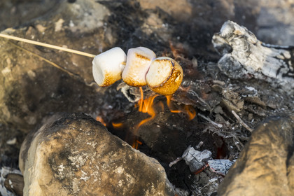 France, Maine-et-Loire, Saumur, roasting marshmallows over a campfire