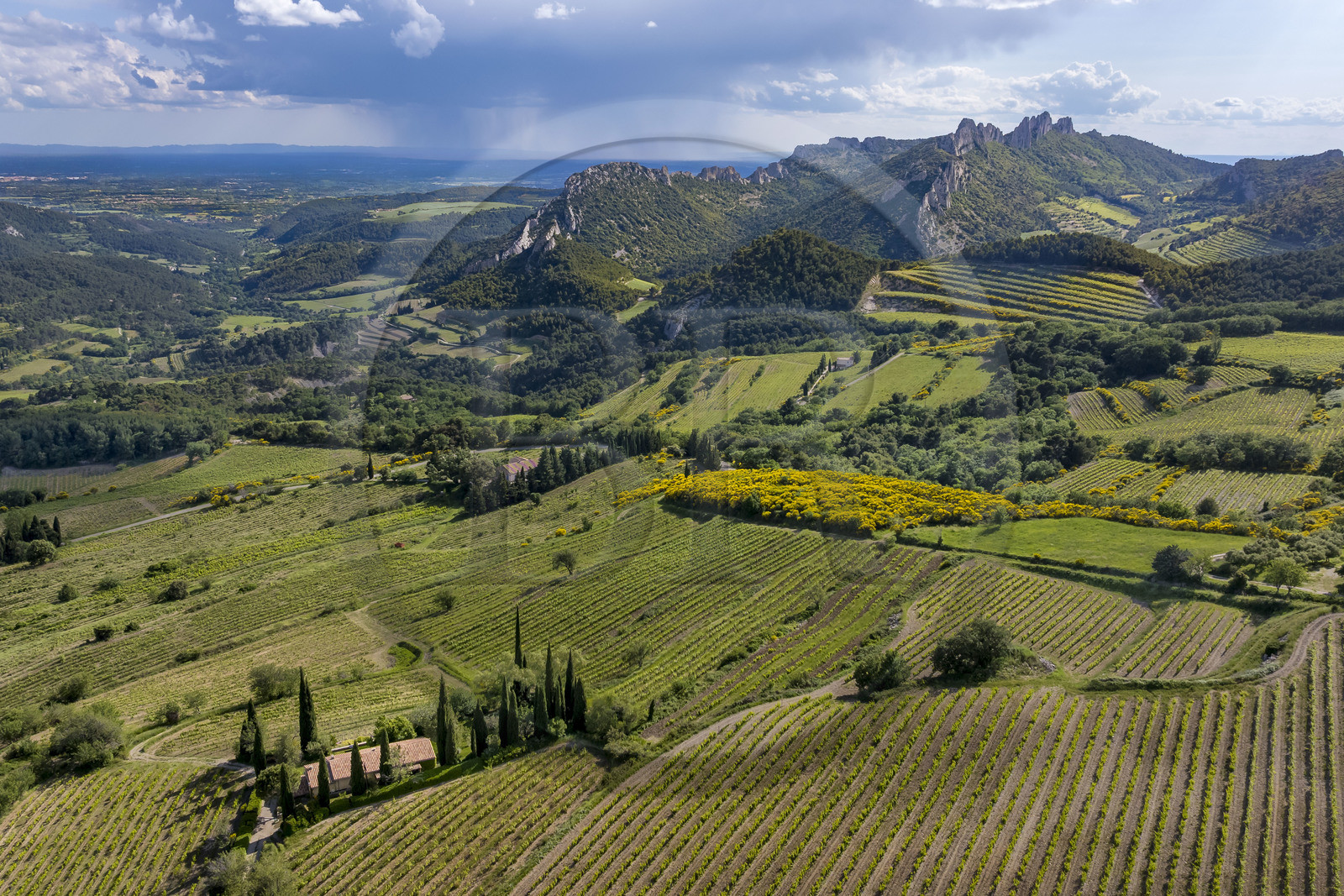 France, Vaucluse (84), Dentelles de Montmirail, le vignoble autour du village de Suzette, le Clapis prolongé par le Grand Montmirail à gauche, les Dentelles Sarrasines au centre et le Grand Travers tout à droite en arrière plan (vue aérienne)