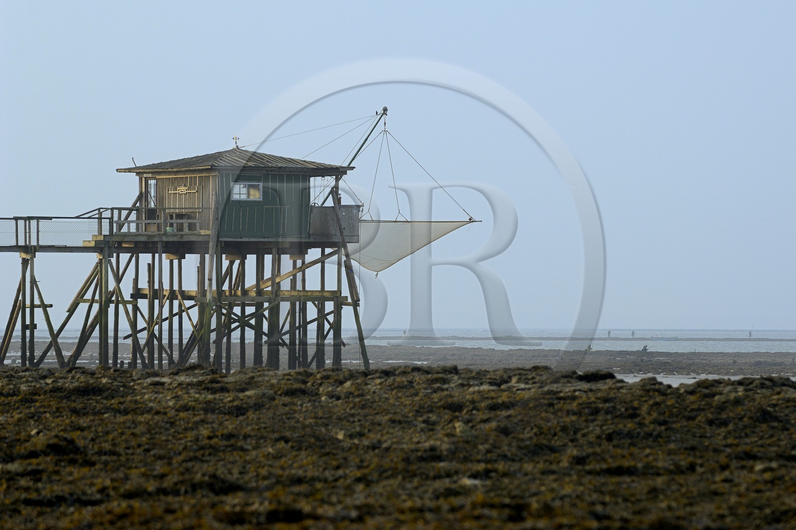 France, Charente-Maritime (17), Ile Madame, carrelets sur la côte
