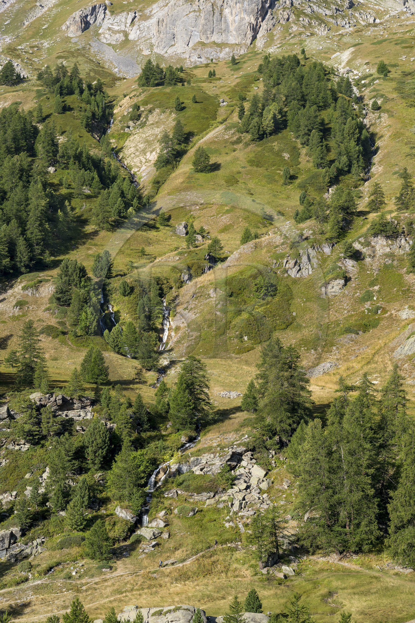 France, Hautes Alpes (05), le Briançonnais, Névache, randonneurs sur un sentier de la vallée de la Clarée