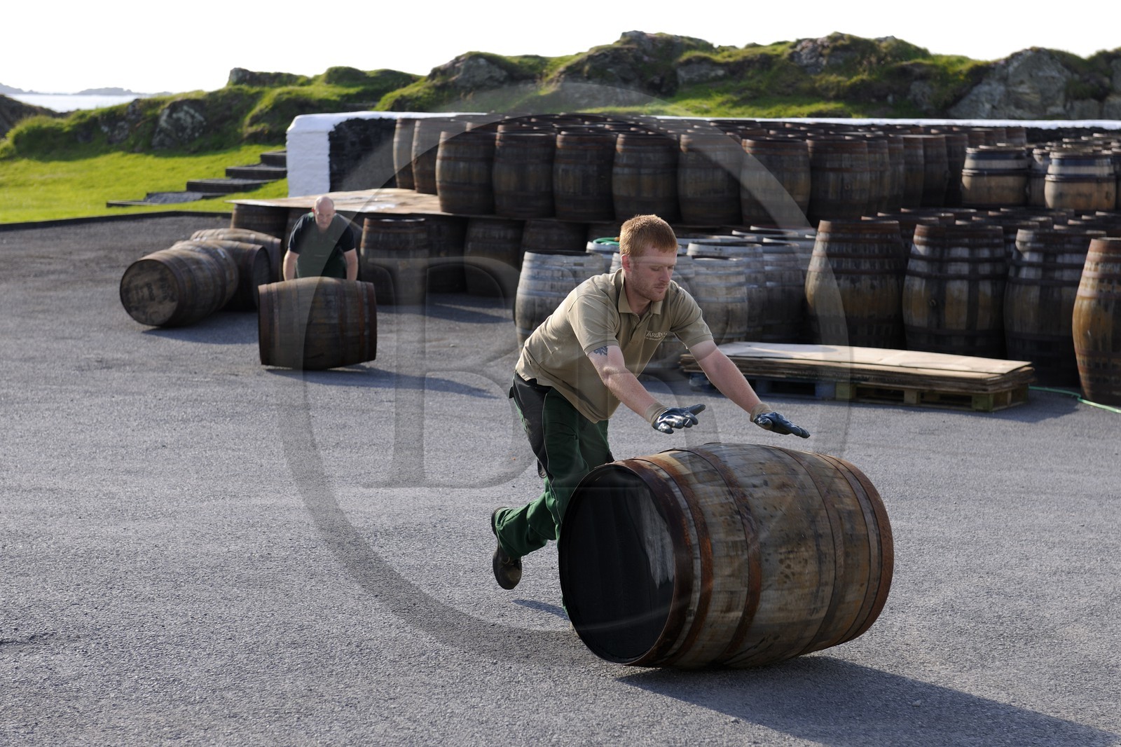 Royaume-Uni, Ecosse, Hébrides intérieures, Ile de Islay, Port Ellen, distillerie de whisky Ardbeg