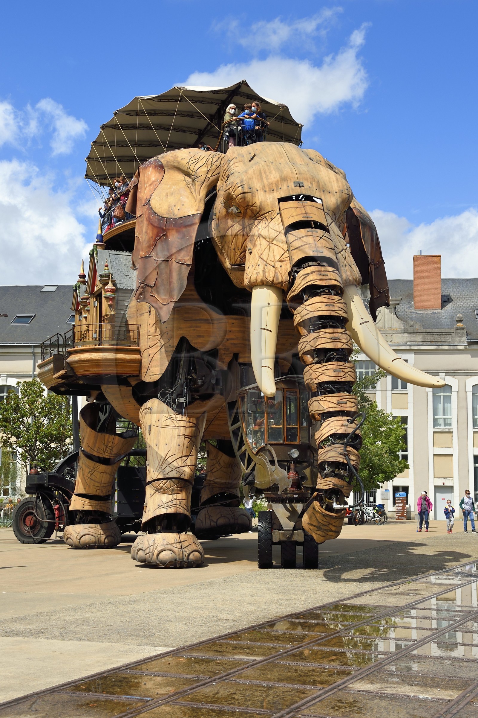 France, Loire-Atlantique (44), Nantes, Les Machines de l'Ile, projet artistique conçu par François Delarozière et Pierre Orefice, le Grand Eléphant et les hangars des anciens chantiers navals en arrière plan