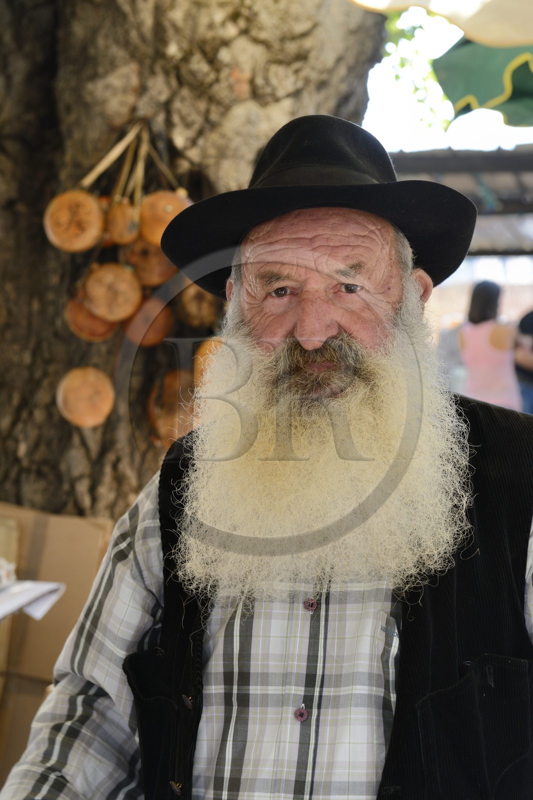 France, Haute-Corse (2B), région du Niolu (Niolo), Casamaccioli, berger à la fête de la Santa du Niolu où l'on célèbre la Nativité de la Vierge