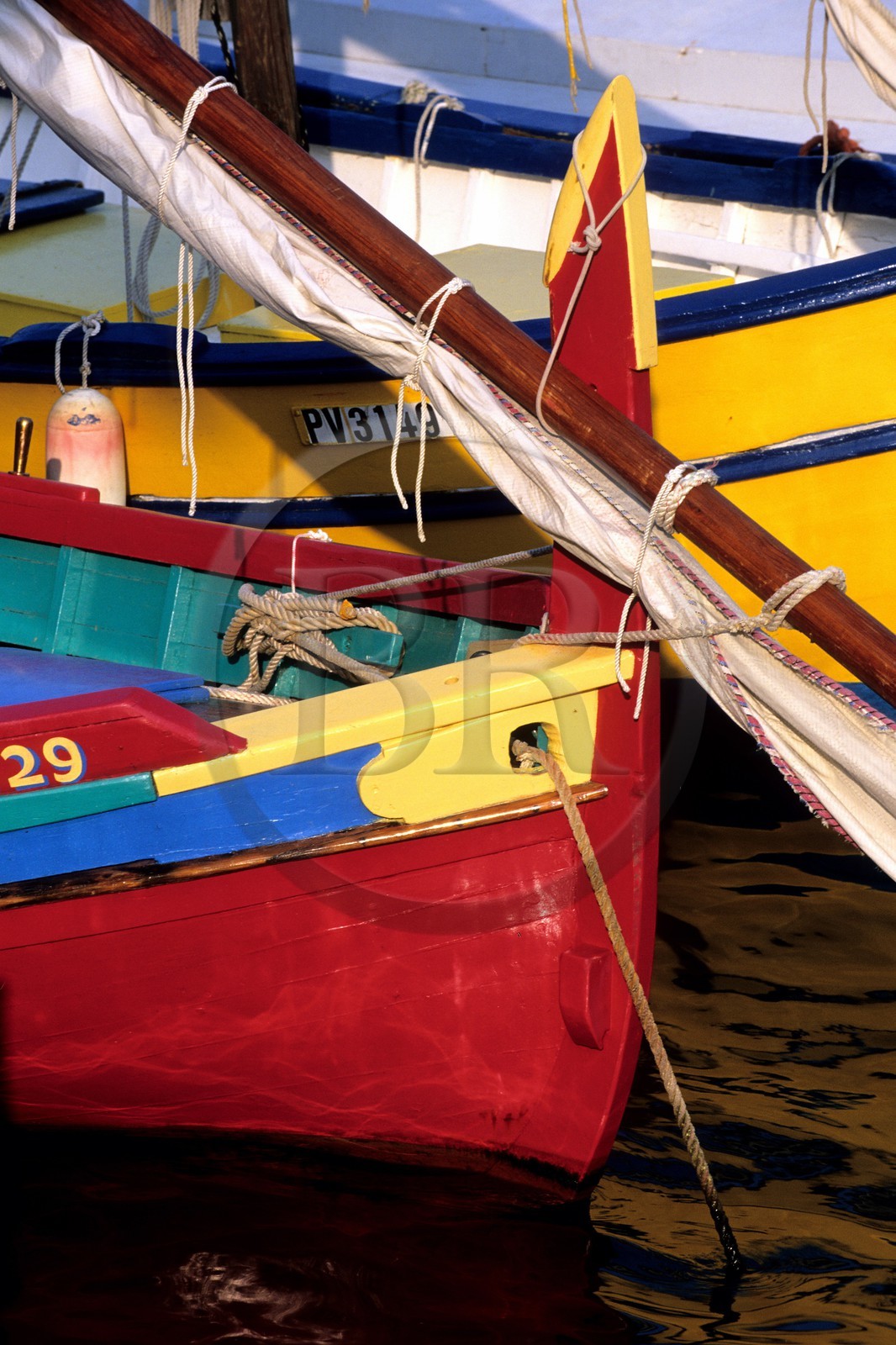 France, Pyrénées-Orientales (66), Collioure, barque catalane