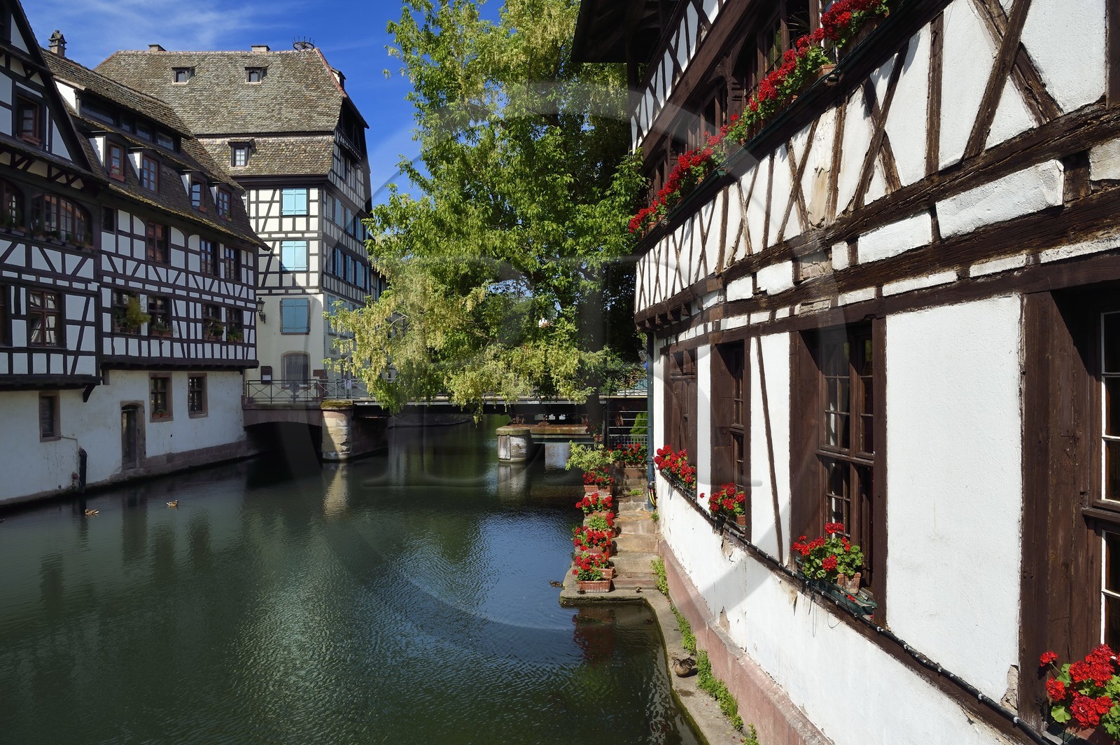 France, Bas Rhin, Strasbourg, old town listed as World Heritage by UNESCO, Petite France District, the Pont du Faisan on the Ill river and the Maison des Tanneurs from 1572 (restaurant) on the right