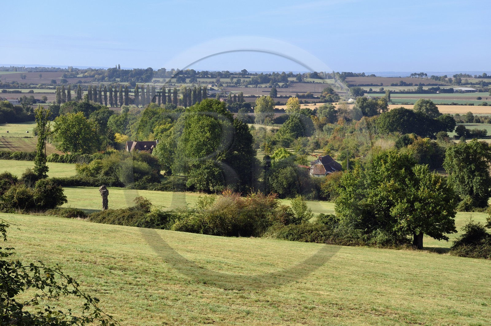 France, Calvados (14), Pays d'Auge, Mézidon Vallée d'Auge, paysage au lieu dit Le Doux Marais