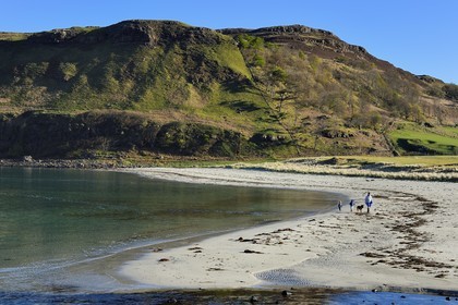 Royaume-Uni, Ecosse, Highland, Hébrides intérieures, Ile de Mull, plage de la Baie de Calgary